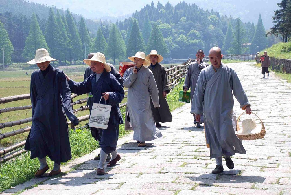 采茶归来 摄影 车无轮