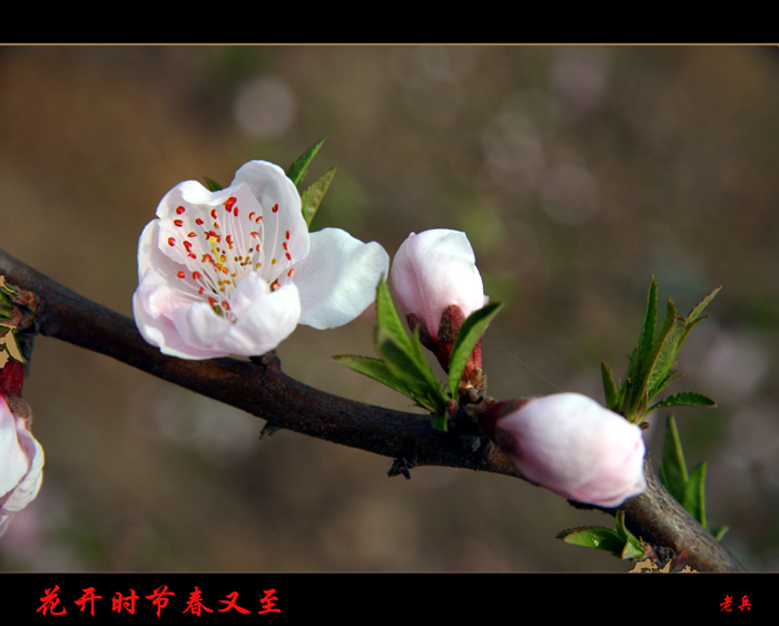 时节 摄影 空军老兵