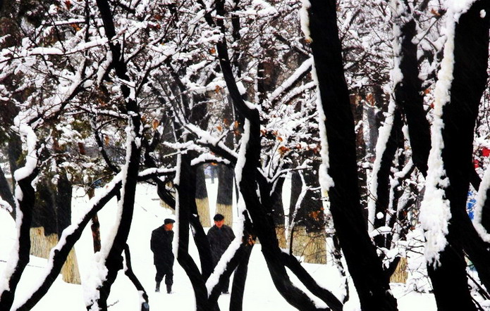 雪之迪-----人生 摄影 龙江雪