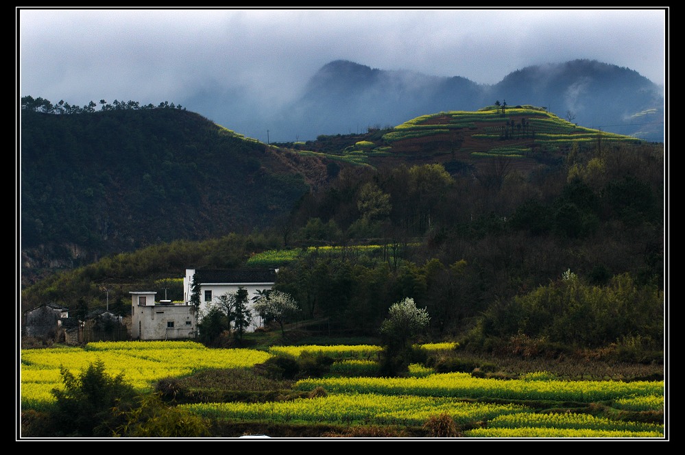 烟雨江南春 摄影 沙漠玫瑰