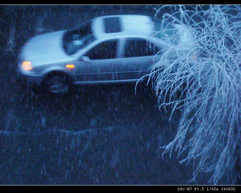 雨转雪 摄影 平常思念