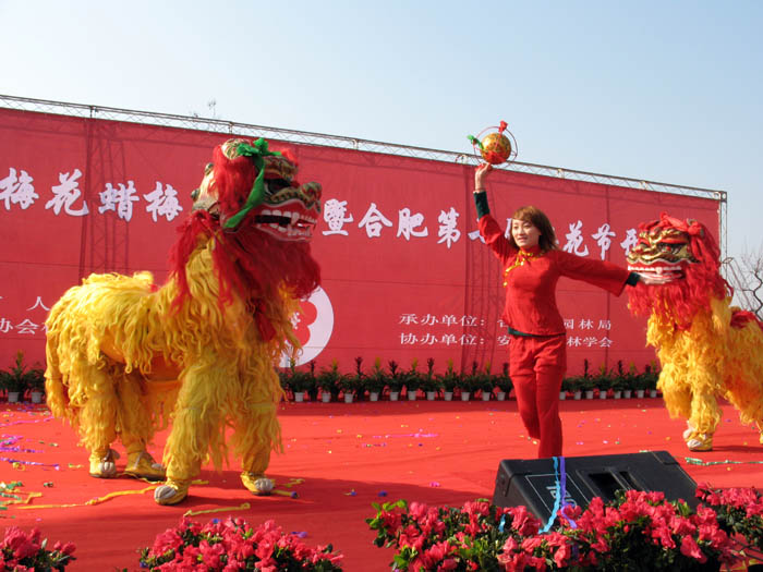 舞狮贺梅 摄影 快乐夕阳