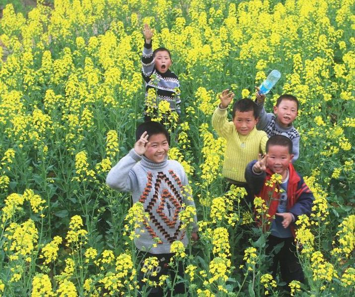 油菜花开--3(花儿与少年) 摄影 在南方