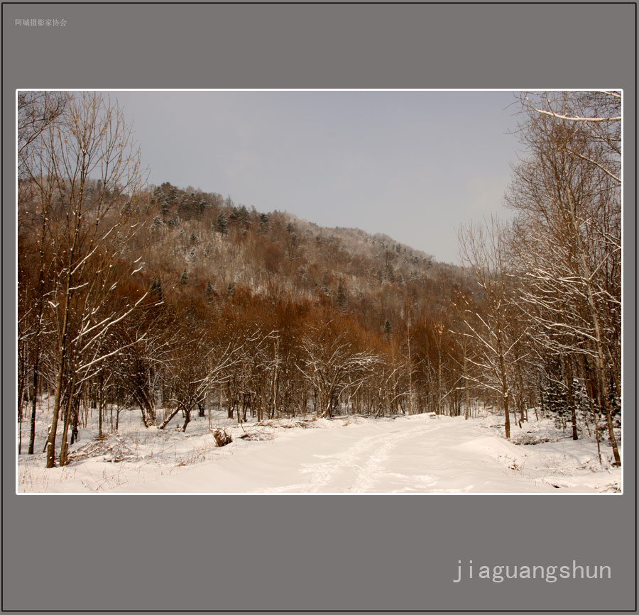 雪景 摄影 贾广顺