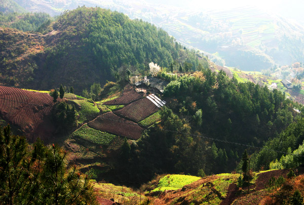 山乡小景 摄影 胡琴