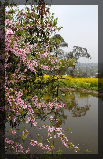 春光 摄影 秋芸