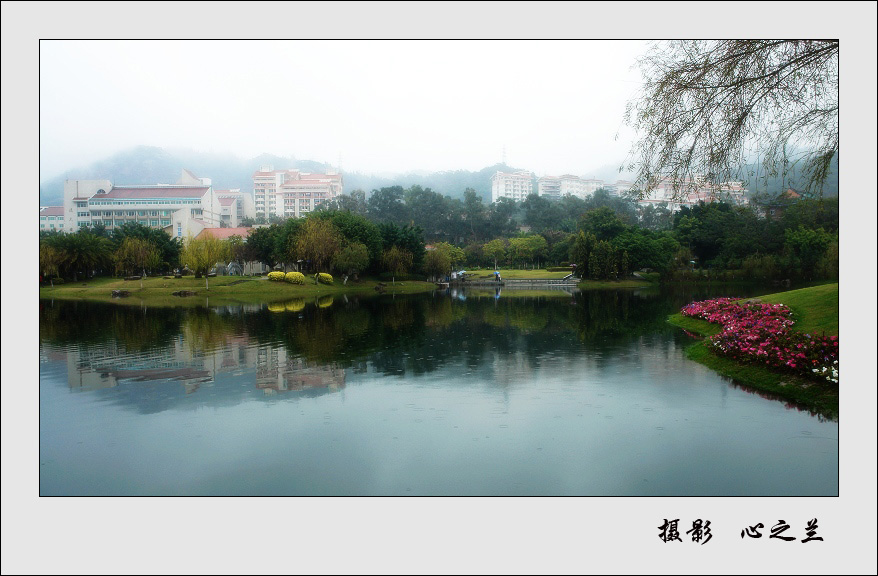 雨中厦大 摄影 心之兰