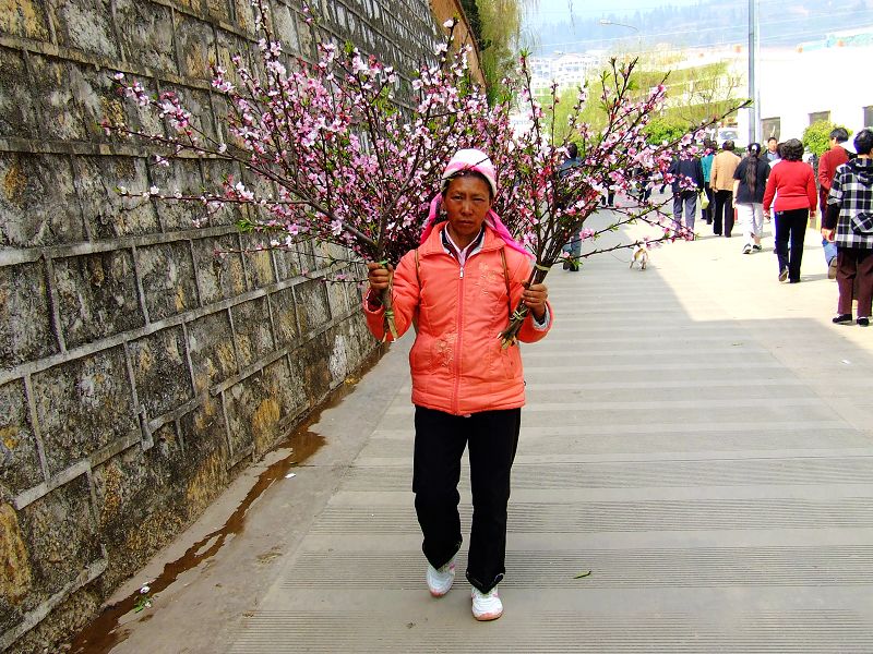 今年的桃花我来卖 摄影 老表