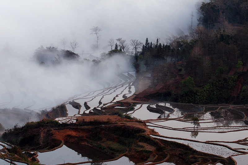 元阳小景 摄影 青石板