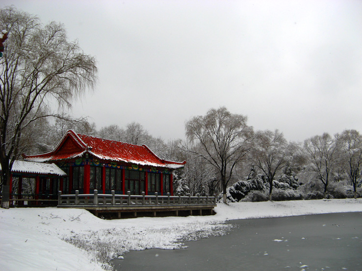 三月雪 摄影 古风新影