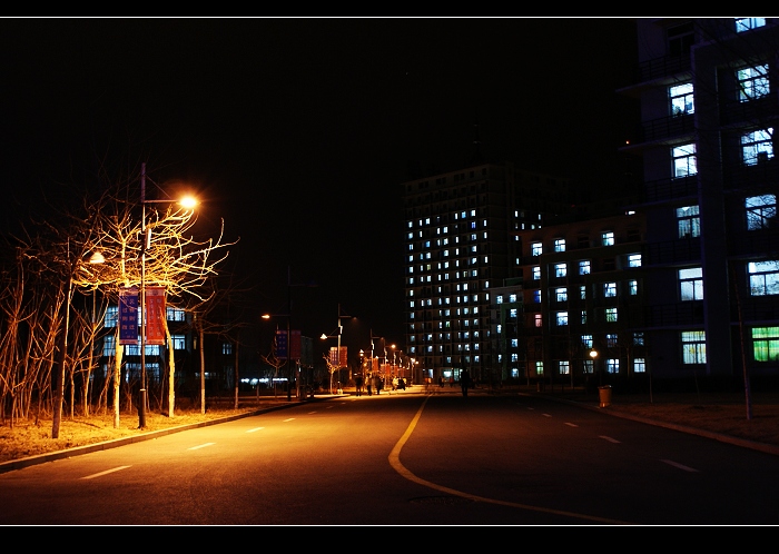 夜晚校园路 摄影 钢筋形变