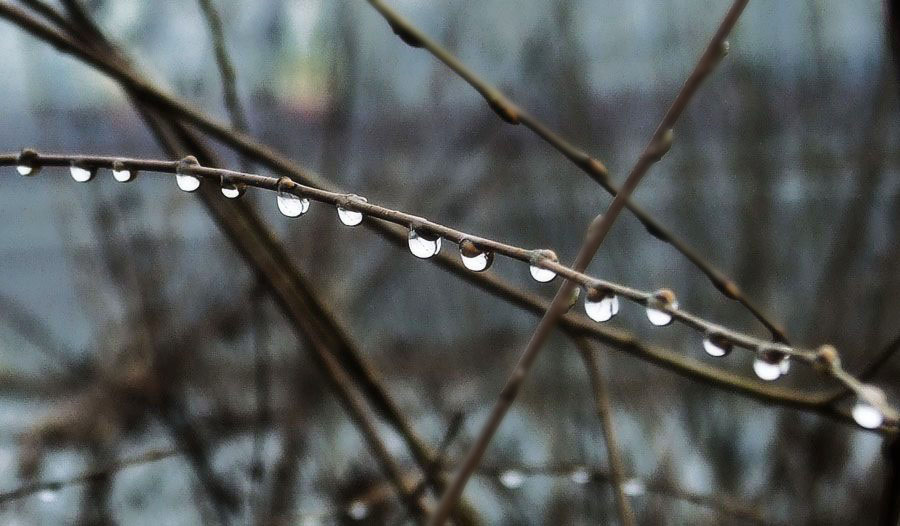 润物细无声 摄影 听海观潮