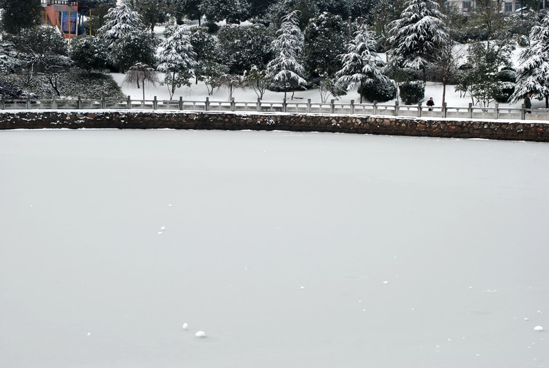 南方的冰雪 摄影 霹雳旋风