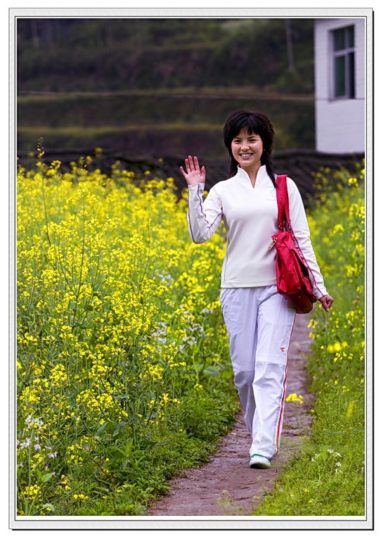 黄花与少女2 摄影 钢荣