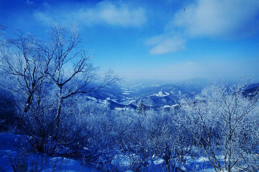 高山雪淞 摄影 雪心