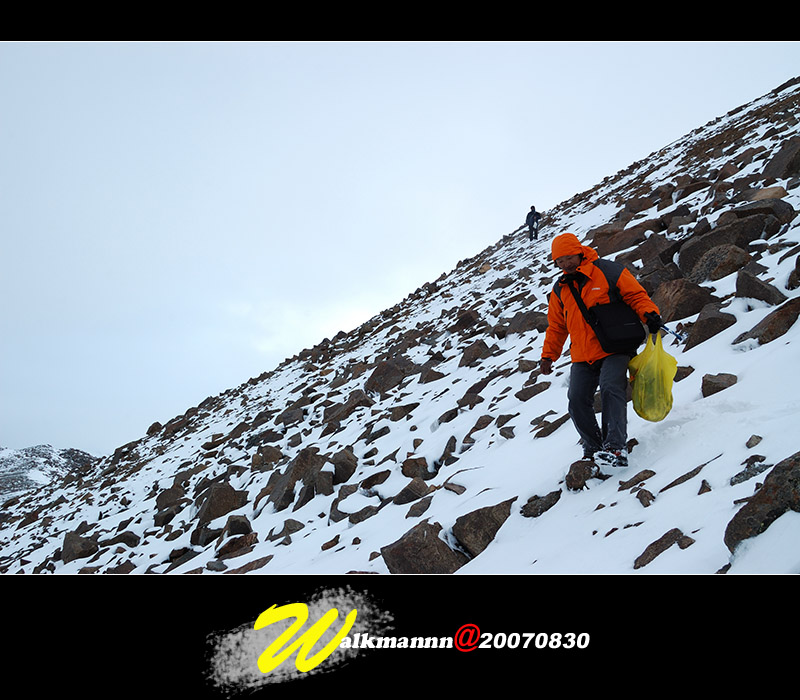 在4850米陡峭的高山上采雪莲 摄影 逸夫