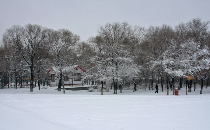 雪树银花 摄影 龙江雪