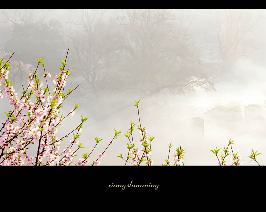 寻梦桃花源 摄影 山沐