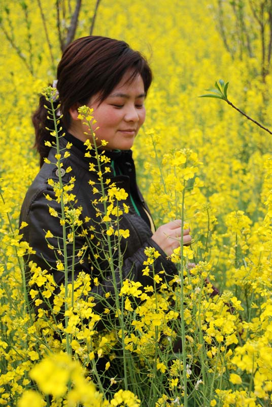 陶醉 摄影 厨师解围腰