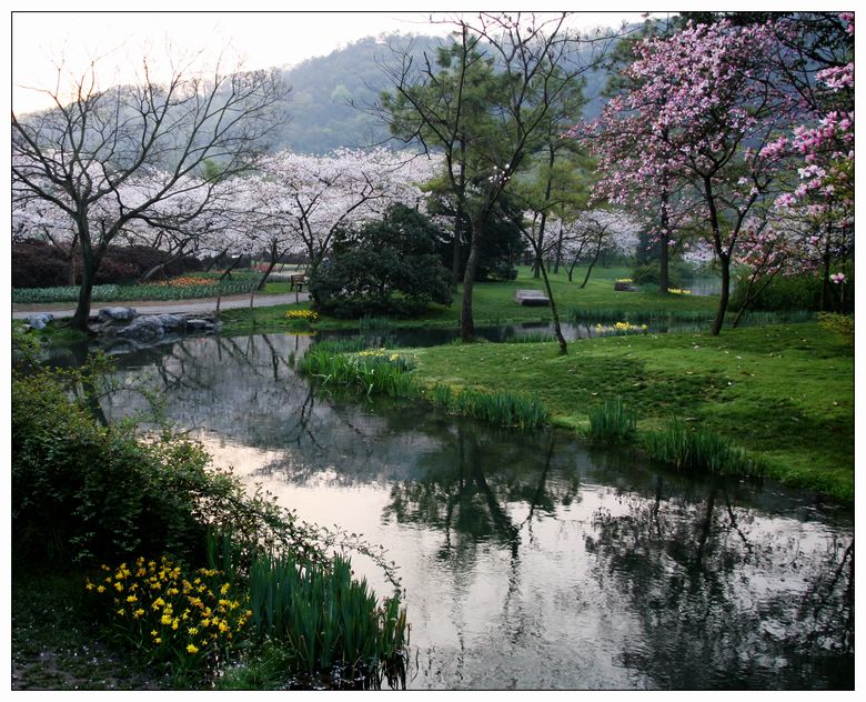 太子湾的早晨 摄影 naonaofeifei