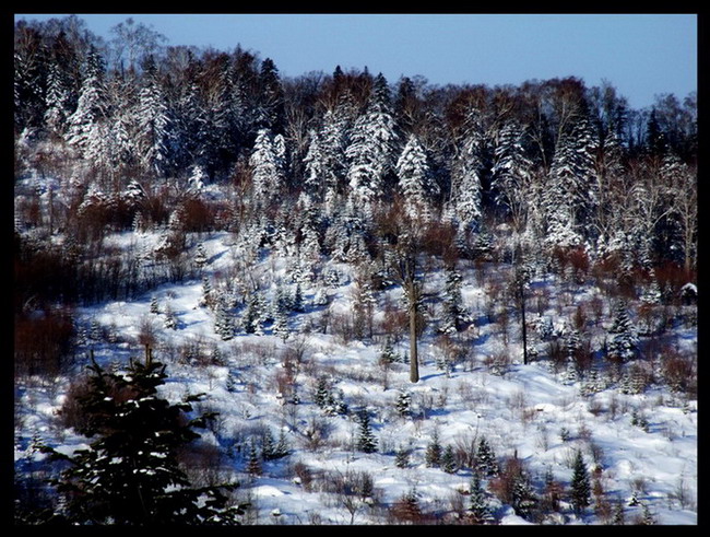 《 关 东 雪 野 》 摄影 腊月乡石