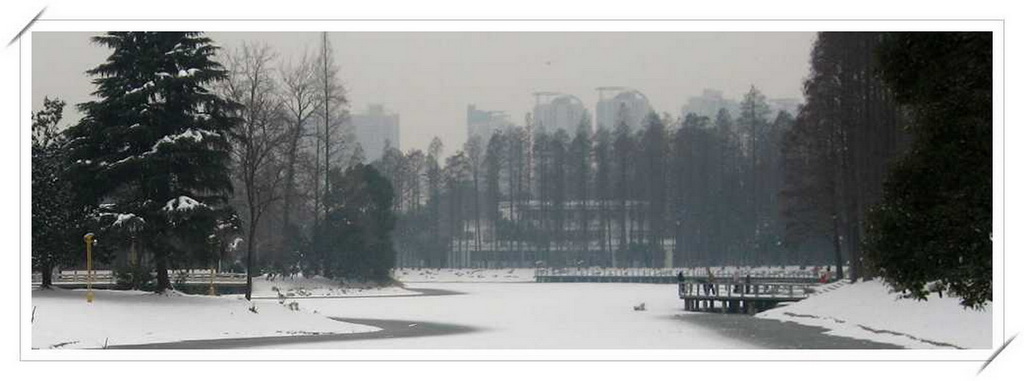 雪景2 摄影 想飞的鱼儿