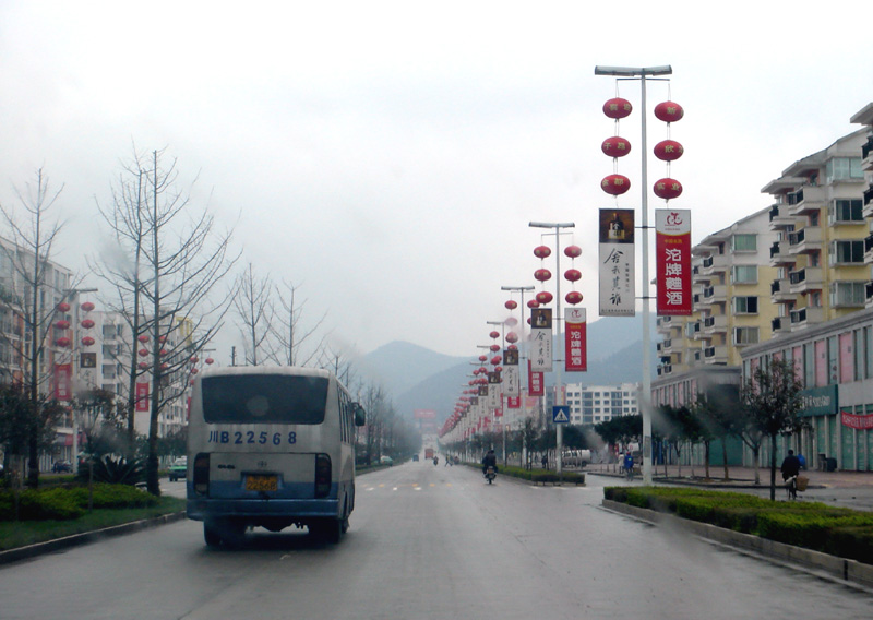 宁静的街道 摄影 紫色女人