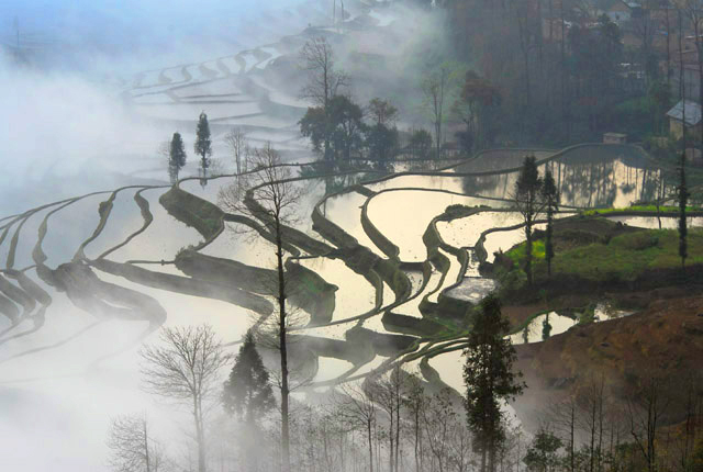 水墨元阳梯田 摄影 抓住瞬间就卡