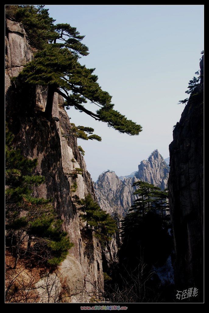 黄山风光—17 摄影 石径