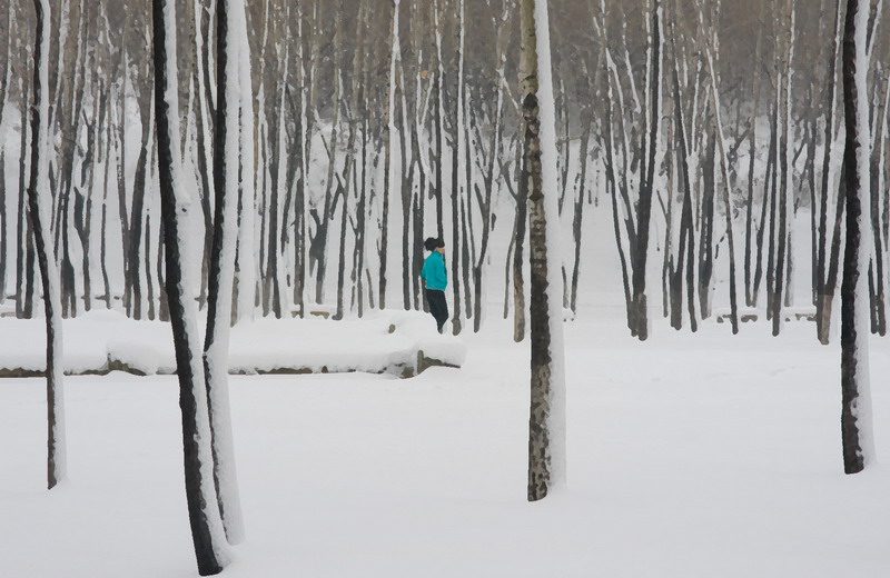 风雪丽人 摄影 龙江雪