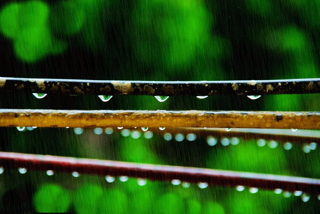 春雨潇潇 摄影 wufei629000