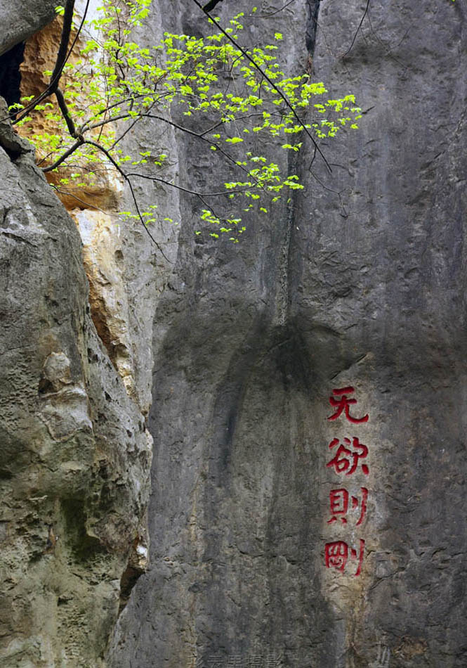 石林小景 摄影 彩云男