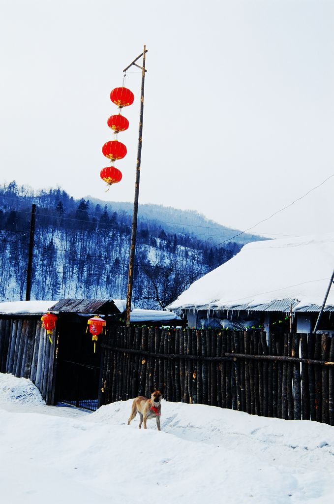 远山的呼唤 摄影 雪心