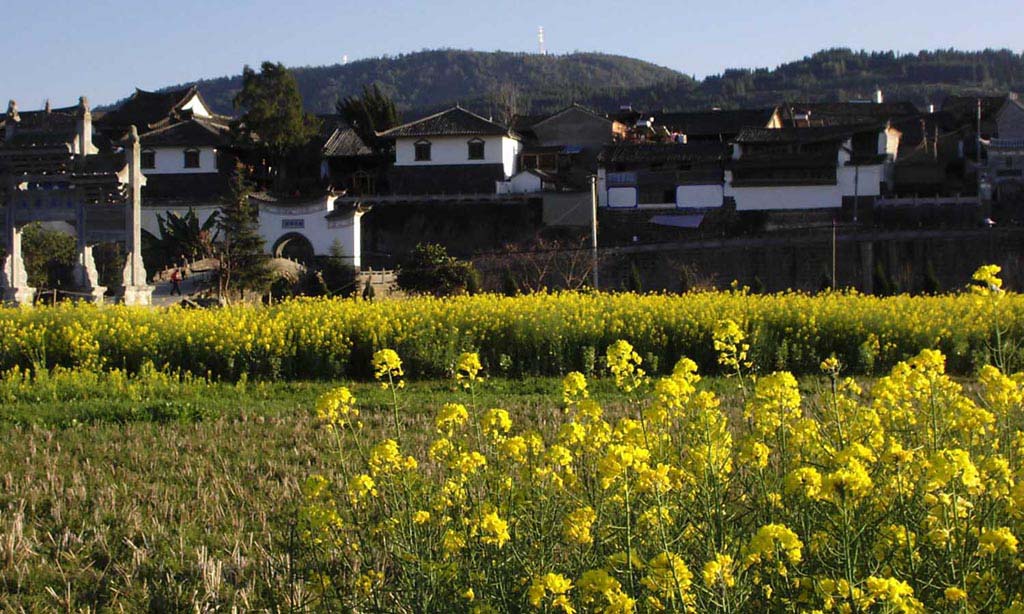 花香古镇 摄影 落墨