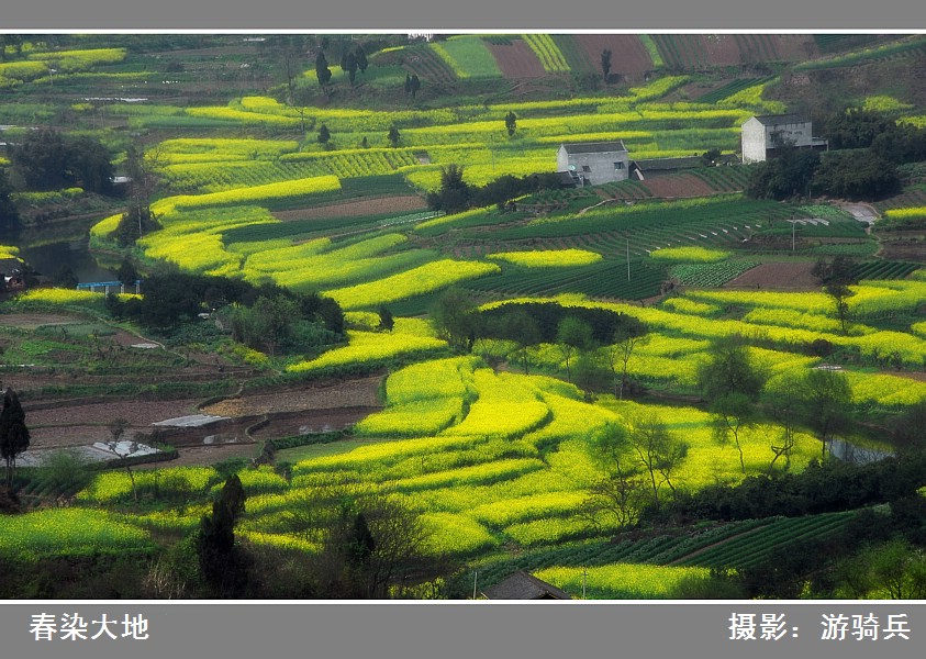 春染大地 摄影 游骑兵