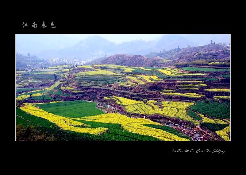 江南春景 摄影 长木