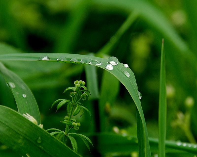 雨露 摄影 歪摄