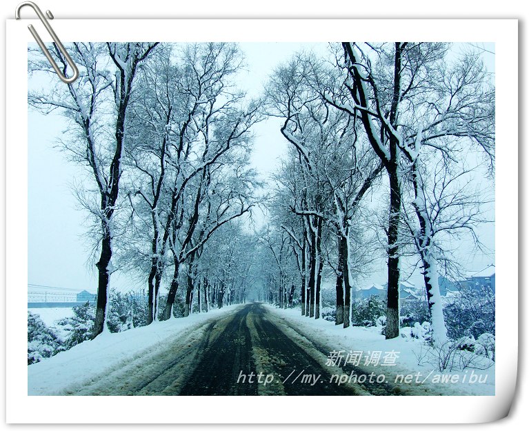 乡路雪景 摄影 新闻调查