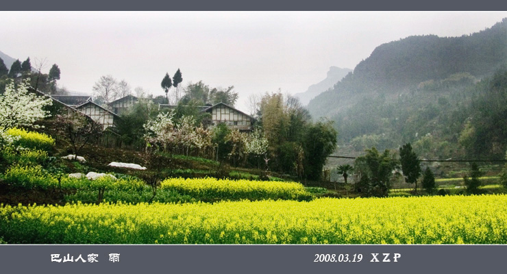 巴山- 雨 摄影 地闲心远