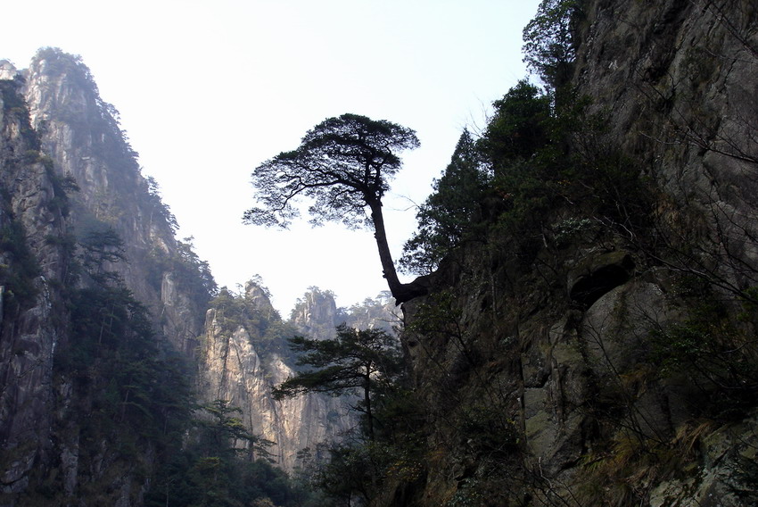 山（2） 摄影 老自在