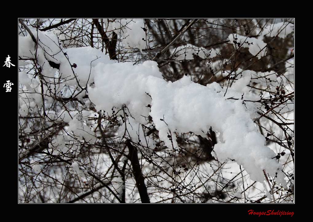 春雪 摄影 红色竖立矩形