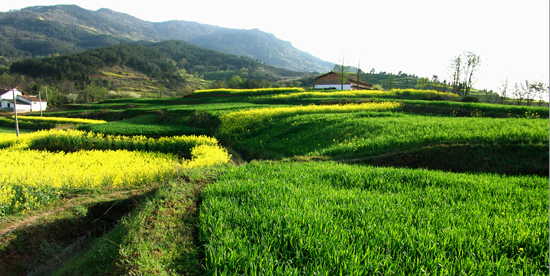 山村 摄影 地闲心远