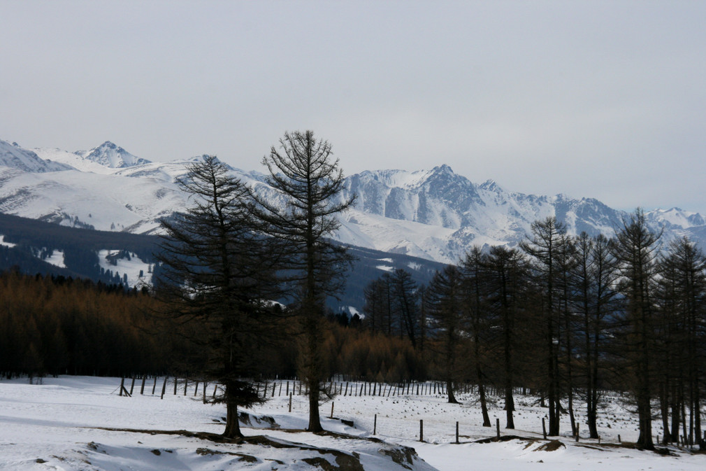 雪域高原2 摄影 杨工