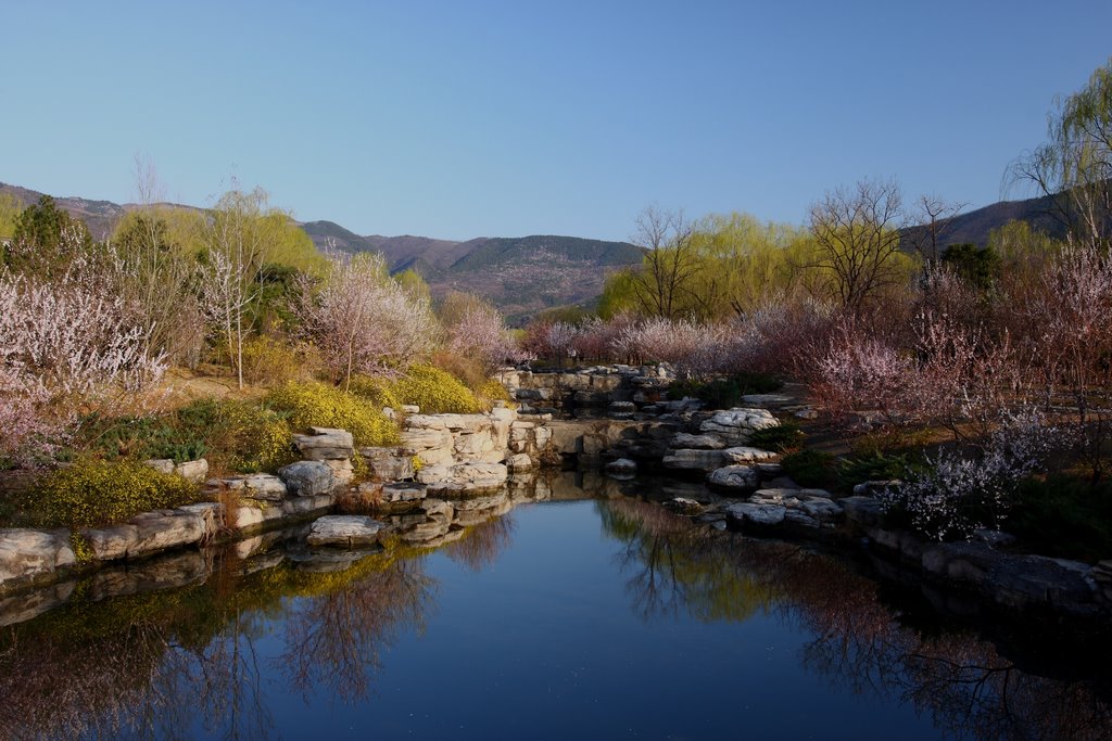 北京植物园 摄影 海南北