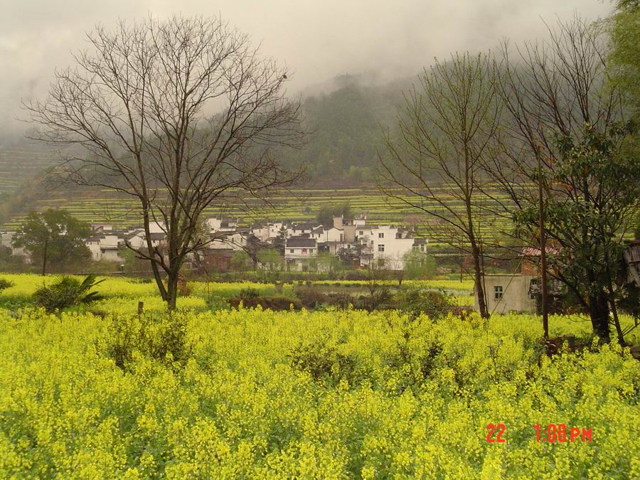 江岭村落 摄影 荒郊野外