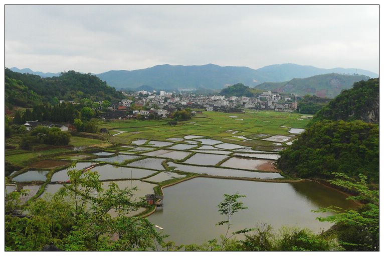 家园 摄影 天岸马