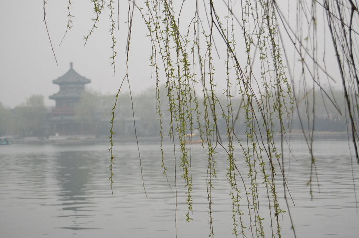 北京什刹海雾 摄影 乌鸦乱飞