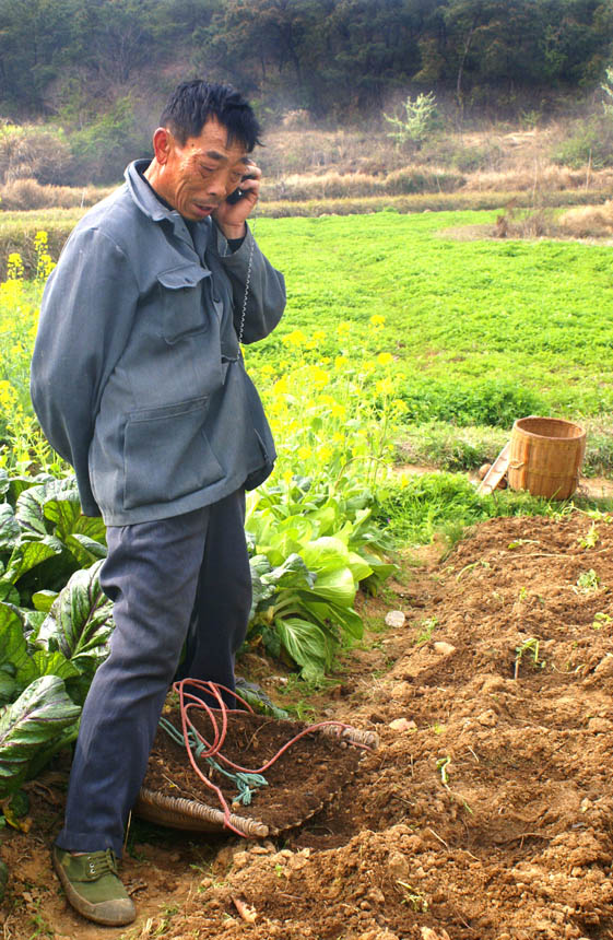 田间喜讯 摄影 龙池山水