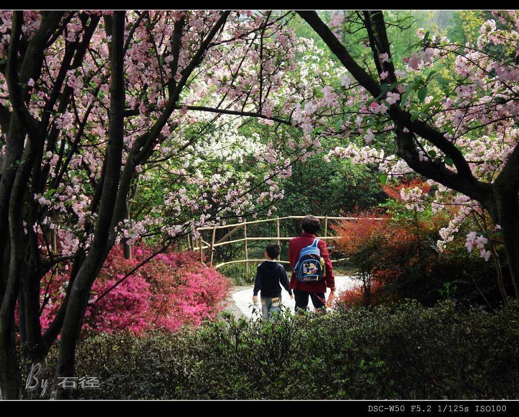 放学路上 摄影 石径