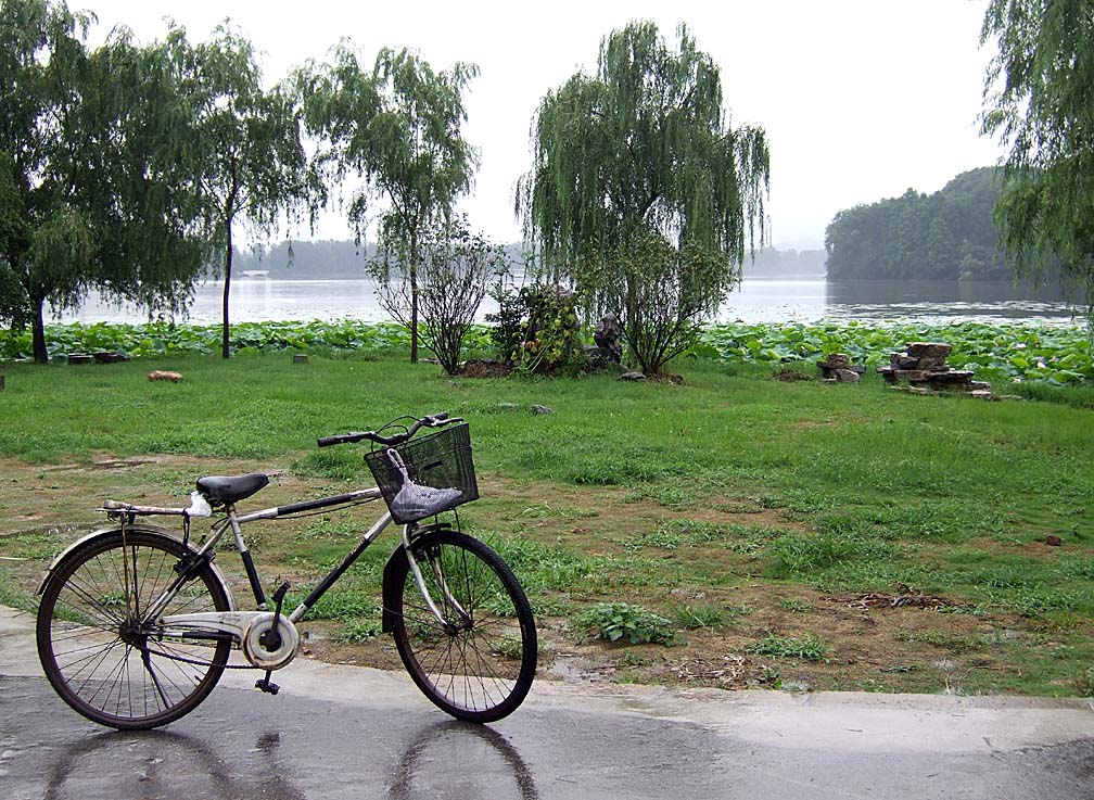 雨中即景 摄影 dphlu